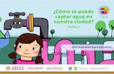 ¿Cómo se puede captar agua en...Dra. Rosaura Ruiz Gutiérrez Secretaria de Educación, Ciencia, Tecnología e Innovación Mtro. Uladimir Valdez Pereznúñez Subsecretario de Educación