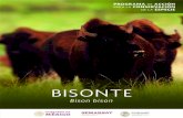 BISONTE · 2019. 10. 10. · BISONTE 7 que definen y programan las estrategias y actividades específicas para conservar, proteger y recuperar a una especie o a un grupo de especies