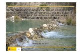 Confederación Hidrográfica del Segura - …...A LA CONTINUIDAD LONGITUDINAL DEL R ÍO SEGURA Y SUS AFLUENTES. AN ÁLISIS, PROPUESTA Y VALORACI ÓN DE SOLUCIONES OCTUBRE DE 2012 INDICE