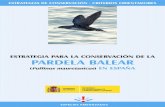 ESTRATEGIA PARA LA CONSERVACIÓN DE LA PARDELA BALEAR · de referencia general y coordinación de las iniciativas de conservación de la especie en España. Para cumplir este fin,