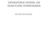 OPERATORIA DENTAL EN DENTICIÓN TEMPORARIA · operatoria dental en el sector anterior, es estético y en el sector posterior, masticación y conservación del espacio . Consideraciones