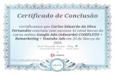 Certificado de Conclusão Certificamos que Carlos Eduardo da Silva Fernandes concluiu com sucesso 12 total horas do curso online Google … · Certificado de Conclusão Certificamos