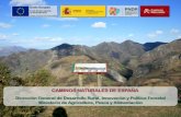 Presentación de PowerPoint - Vias Verdes€¦ · Red de Caminos Naturales y Vías Verdes Desde su inicio el Ministerio ha ejecutado 10.000 km en Caminos Naturales, de los cuales