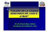 COLERA EN LA CIUDAD SANITARIA DR. LUIS E. AYBAR”€¦ · 1 “COLERA EN LA CIUDAD SANITARIA DR. LUIS E. AYBAR” Dr. JoséErnesto Reyes Santana Coordinador de la Unidad de cólera