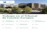 Trabajar en el Tribunal de Cuentas Europeo€¦ · el Tribunal de Cuentas Europeo a través de tareas estimulantes, programas de orientación y tutoría, y oportunidades de desarrollo
