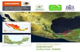 Secretaría de Agricultura, Ganadería, Desarrollo Rural Pesca y …langif.uaslp.mx/documentos/informe_2009/Presentacion/... · 2016. 9. 6. · Universidad Autónoma de San Luis Potosí