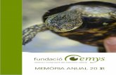 MEMÒRIA ANUAL 2018...2 En total s’ha aconseguit capturar 185 tortugues, i s’han observat 4 creies de l’any. D’aquestes 185, 152 eren adultes (74 femelles i 77 mascles) i 33