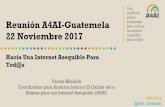 Una coalición global Reunión A4AI-Guatemela 22 Noviembre ...1e8q3q16vyc81g8l3h3md6q5f5e.wpengine.netdna-cdn.com/wp-cont… · - basada en los principios de la libertad de internet