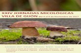 OCTUBRE 2017 ORAAS MCOCAS A E el al de viee de 2017asturianademicologia.com/.../revista-sam-2017-web.pdf · 3 • Sociedad Asturiana de Micología • Octubre 2017 XXIV JORNADAS MICOLÓGICAS