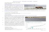 Infraestructuras Energías renovables Noticias · españolas construyendo o promoviendo parques solares o eólicos, o fabricando aerogeneradores o módulos fotovoltaicos. Ahí están