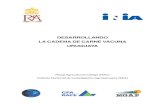 Fpta 14. Desarrollando la cadena de carne vacuna uruguaya · 2014. 8. 28. · asociados a la estacionalidad de la producción de carne y en parte a la falta de comunicación de señales