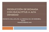 Producción de biomasa con eucalyptus A ALTA …...CON EUCALYPTUS A ALTA DENSIDAD PROYECTO: INIA, LATU, FAC. de CIENCIAS, FAC. DE INGENIERIA, TEYMA FINANC AM N O ANNANCIAMIENTO ANII