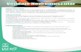 Vendaje Neuromuscular - IACES México · 2019. 10. 25. · •Uso del vendaje neuromuscular para las distintas aplicaciones. •Miembro Superior. •Miembro Inferior. •Columna cervicodorsal