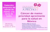 Detección temprana del cáncer de mama: una Cáncer de ...tomateloapecho.org.mx/Archivos web TAP/Monterrey2/fk Taller prom… · Cáncer de mama en el Seguro Popular. Fuente: Groot