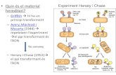 Quin és el material Experiment Hersey i Chase hereditari? · Duplicació del DNA (Durant a fase S del cicle cel.lular) En un principi es plantejaren 3 hipotesis per a la replicació