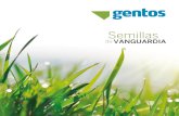 Gentos Uruguay-Catalogo de cultivares WEBgentos.com.uy/wp-content/uploads/2019/02/Gentos... · Densidad de siembra: Objetivo 200-240 plantas/m2, dependiendo de ambiente: 14-16kg/ha.