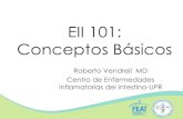 EII 101: Conceptos Bأ،sicos ... Escleritis, episcleritis, uveitis. Artritis Columna vertebral: Espondilitis