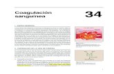 Coagulación sanguínea 34 - WordPress.com · 2016. 8. 18. · como la tripsina y, por lo tanto, escinden un enlace peptídico del extremo carboxílico de un residuo de arginina o