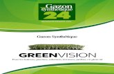 GREENVISION - Gazonsynthetique24...gazonsynthetique24.com Gazon Synthétique Pour les balcons, piscines, solarium, terrasses, jardins, en plein air GREENVISION GREENVISION Le tapis