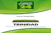 Gazon Synthètique 24 - TRINIDAD ... Gazon Synthétique Pour les balcons, piscines, solarium, terrasses, jardins, en plein air TRINIDAD TRINIDAD Trinidad est le gazon synthétique