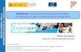 Erasmus+ en educación y para el fomento del …...del nuevo programa Erasmus+ en el ámbito de la educación y la formación (2014-2020) y del Programa de Aprendizaje Permanente (PAP)