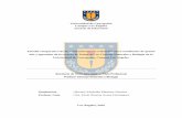 Universidad de Concepción Campus Los Ángeles Escuela de ...repositorio.udec.cl/bitstream/11594/2364/3/Martínez Sánchez.pdf · Estudio comparativo de los conocimientos en evaluación