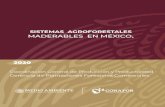 SISTEMAS AGROFORESTALES MADERABLES EN …...1 1.Antecedentes y situación actual de los Sistemas Agroforestales en México 1.1. Introducción La presión creciente de la población