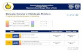 Biología Celular e Histología Médica curso 2019 ...bct.facmed.unam.mx/wp-content/uploads/2020/02/... · María Isabel García Peláez Lunes 12-14 h 6 Viernes 11-14 h Dra. Vianey