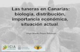 Las tuneras en Canarias: biología, distribución, importancia … · 2018. 4. 5. · Biblioteca Universitaria de la Laguna. Cochinilla (actualidad) • La Unión Europea en Febrero