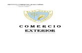 C o m e r c i o EXTERIOR - Instituto Profesional Esucomexbiblioteca.esucomex.cl/RCA/Comercio exterior.pdf · Transportes Vestimentas Educación Viviendas Etc. Clasificación de la