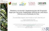 Dinámica territorial e implementación del Programa Pagos ...disminución de la pobreza en las zonas rurales, el PPSA si tuvo efectos sobre las dinámicas de dichos territorios (OrtizMalavasietal.,2003;Porras,2010).