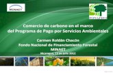 Comercio de carbono en el marco del Programa de …...PPSA en áreas menores a 50 hectáreas. 25 Servicios Ambientales que reconoce la Ley Forestal 7575 (año 1996) Mitigación de