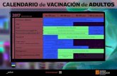 CALENDARIO de VACINACIÓN de ADULTOS · 2020. 1. 10. · xunta.gal ˜˚˛˝ ˚˛˝ Pneumocócica de polisacáridos ˙˜ v: Personas de ˜˜ años o mayores de esta edad no vacunadas