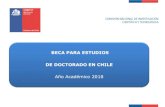 BECA PARA ESTUDIOS DE DOCTORADO EN CHILE · La Beca de Doctorado en Chile tiene por objeto apoyar financieramente a estudiantes de excelencia, de cualquier nacionalidad, para iniciar