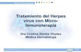 Tratamiento del Herpes virus con Micro- …...Los alfaherpesvirus se caracterizan por: - ciclo de replicación corto - rápida diseminación de célula a célula - capacidad de establecer