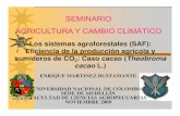 SEMINARIO AGRICULTURA Y CAMBIO CLIMÁTICO€¦ · SEMINARIO AGRICULTURA Y CAMBIO CLIMÁTICO Los sistemas agroforestales (SAF): Eficiencia de la producción agrícola yEficiencia de