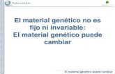 El material genético no es fijo ni invariable: El material ... · El material genético puede cambiar El cáncer es una enfermedad en la que el organismo produce una proliferación
