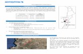 Prospecto Homero - Chile Projectchileproject.cl/descargable/Homero.pdf · En este informe se dará a conocer el Mapa geológico y los perfiles NS y EW elaborados en el sector. Esto