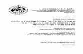 ESTUDIO VIBRACIONAL DE LA MOLÉCULA DE PIRIDINA Y DE SUS ...ruja.ujaen.es/bitstream/10953/416/1/8484391639.pdf · diferentes métodos de cálculo teórico y a partir de una transferencia