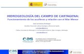 HIDROGEOLOGÍA DEL CAMPO DE CARTAGENAluis... · 2018. 5. 17. · HIDROGEOLOGÍA DEL CAMPO DE CARTAGENA: funcionamiento de los acuíferos y relación con el Mar Menor Cuaternario Plioceno