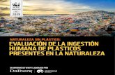 natUraleza sin plástico: evalUación de la ingestión hUmana de …awsassets.panda.org/downloads/naturaleza_sin_plastico... · 2019. 6. 17. · 6 Naturaleza sin Plástico: Evaluación