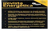 Organización Latinoamericana de Energíabiblioteca.olade.org/opac-tmpl/Documentos/hm000537.pdfopalina acrílica con acabado mate. 12 Los deflectores se fabrican con un ancho de 6