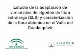 Estudio de la adaptación de variedades de algodón de fibra ...edym.net/Materia_prima_textil_gratis/2p/matprim/... · -Plan de Innovación y Modernización de Andalucía-Incentivos
