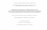 DETERMINACIÓN DE LA PREVALENCIA DE TUBERCULOSIS BOVINA …repositorio.espe.edu.ec/bitstream/21000/4982/1/T-ESPE-033021.pdf · TUBERCULOSIS BOVINA (TBB) MEDIANTE LA APLICACIÓN DE