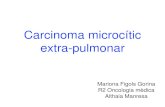 Carcinoma microcític extra-pulmonar · Carcinoma microcític . extra-pulmonar. Mariona Figols Gorina. R2 Oncologia mèdica. Althaia Manresa