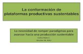 La conformación de plataformas productivas sustentables Nieto_r.pdf · 2. El paradigma: “La distribución equitativa de la tierra”. El coeficiente de Gini no es un buen indicador