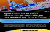 2012 Aplicación de la Tarifa Única de Distribución de gas ...biblioteca.olade.org/opac-tmpl/Documentos/hm000662.pdf · establecido en su respectivo contrato de servicio. En la