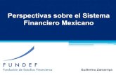 Perspectivas sobre el Sistema Financiero Mexicano• Para concluir con retos y perspectivas sobre el Sistema Financiero Mexicano. I.- Introducción Deuda como porcentaje del PIB (2T