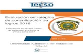 Evaluación estratégica de consolidación de logros 2016planeacion.uaemex.mx/InfBasCon/Eval_Externa_2016.pdf · 2018. 3. 1. · 2013-2017 Nombre de la evaluación: Evaluación estratégica