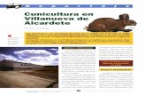 Cunicultura en Villanueva de Alcardete - mapa.gob.es€¦ · to recelo a este tipo de animal selecto. Si rectificar es de sabios, La^omor^Ao número 106 - 1999 reflexionar debe ser